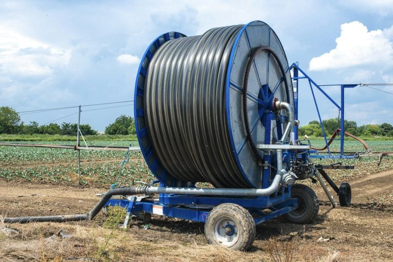 Irrigation sprinkler and rolled hose. Watering concept.